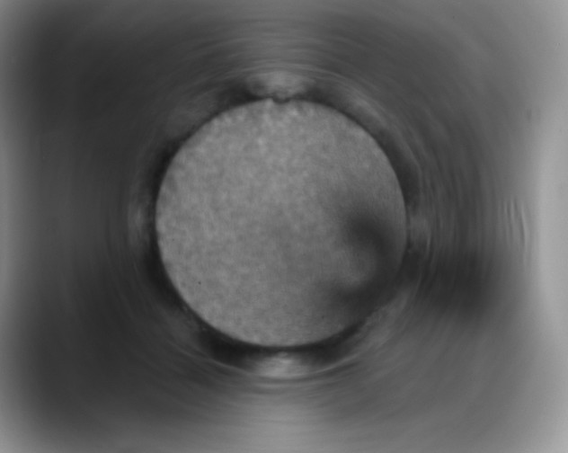 X0000088200460200705292036