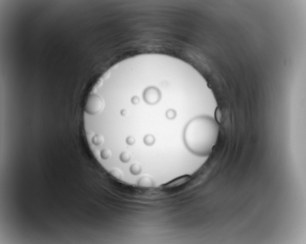 X0000088200463200705292036