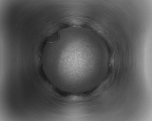 X0000088200464200705292036