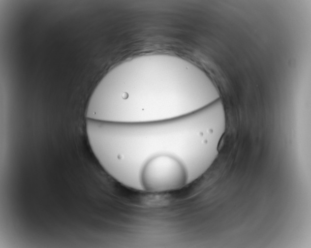 X0000088200465200705292036