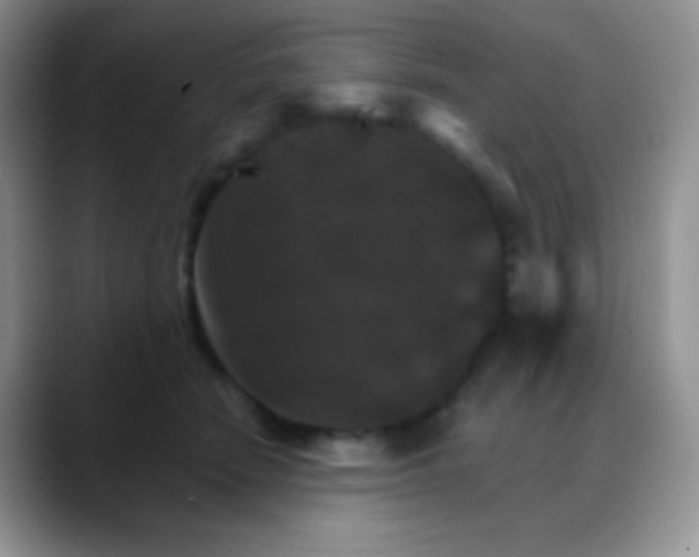 X0000088200466200705292036