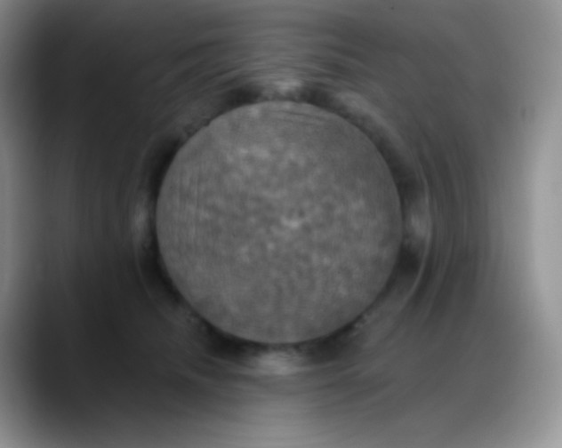 X0000088200468200705292036