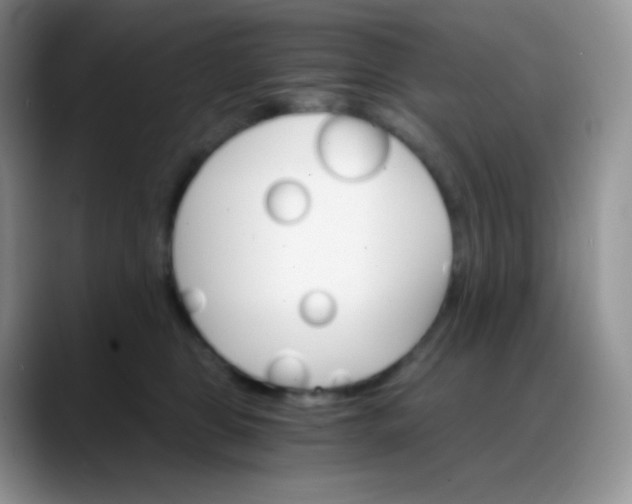 X0000088200469200705292036