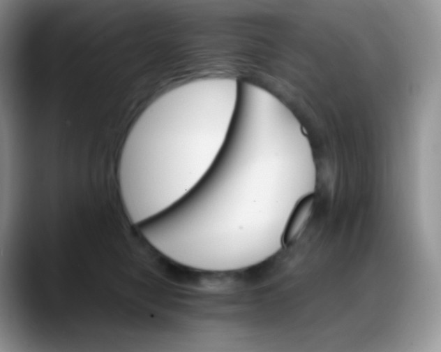 X0000088200470200705292036