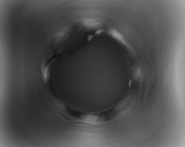 X0000088200471200705292036