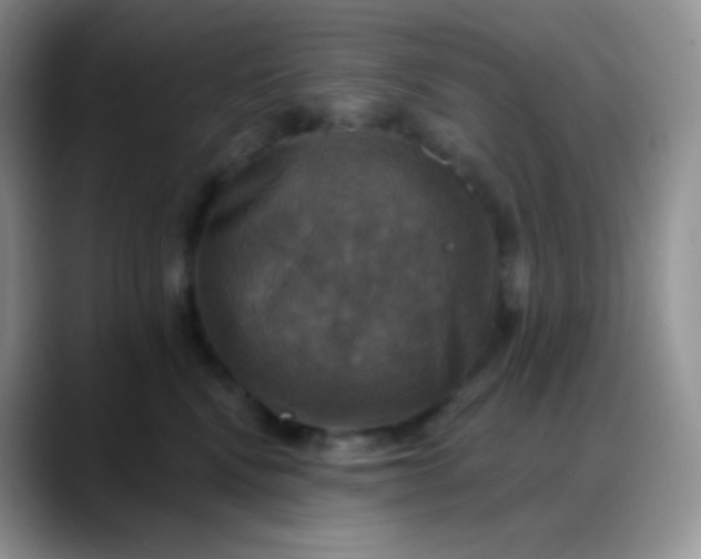 X0000088200472200705292036