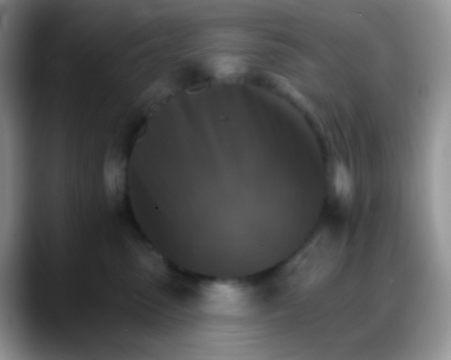 X0000088200475200705292036