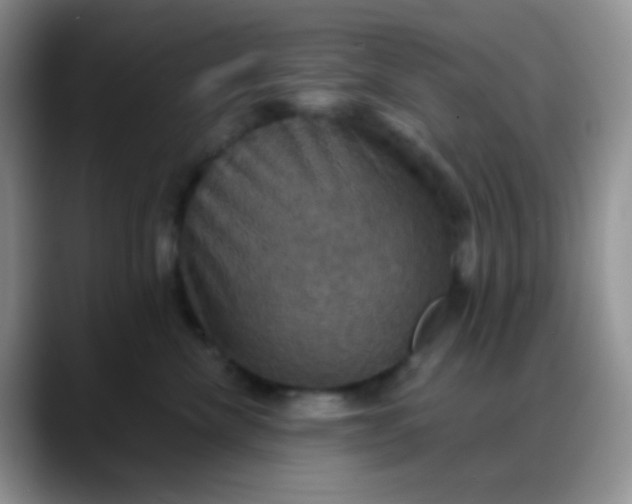 X0000088200476200705292036