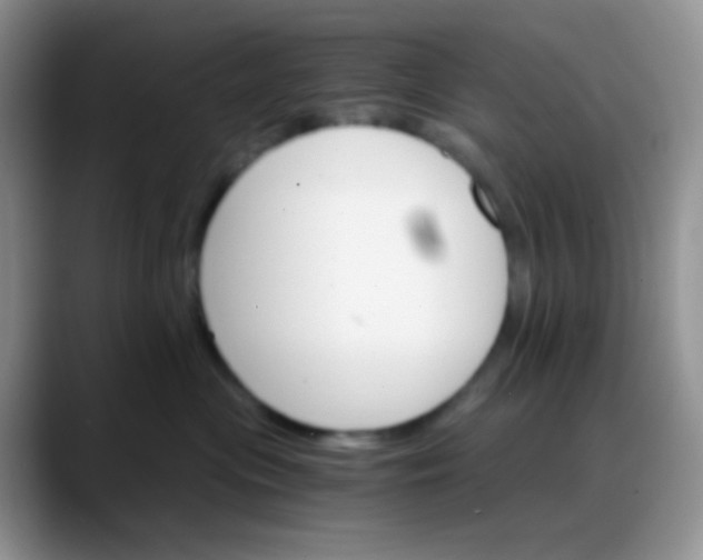 X0000088200477200705292036