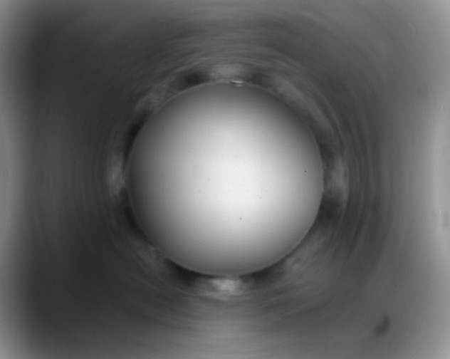 X0000088200478200705292036