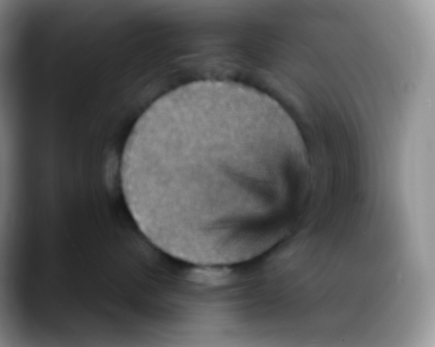 X0000088200480200705292036