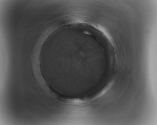 X0000088200481200705292035