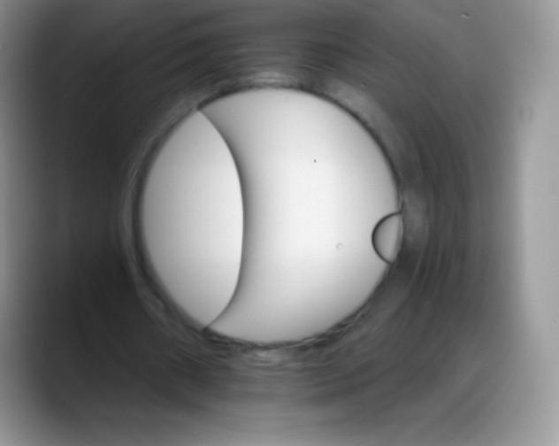 X0000088200482200705292035