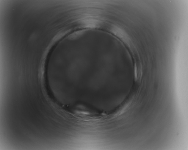 X0000088200483200705292035