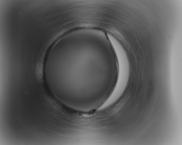 X0000088200484200705292035