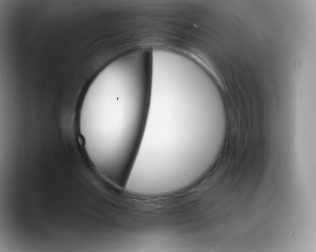 X0000088200485200705292035