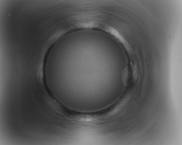 X0000088200486200705292035