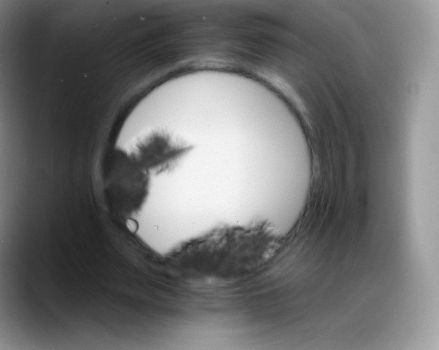 X0000088200487200705292035