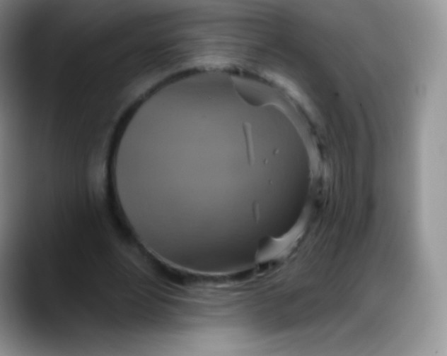 X0000088200488200705292035