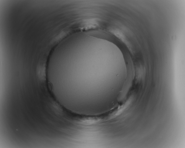 X0000088200489200705292035