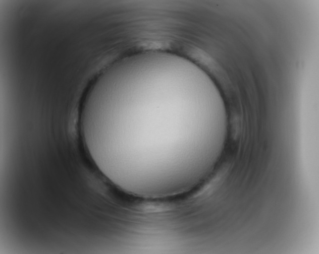 X0000088200490200705292035