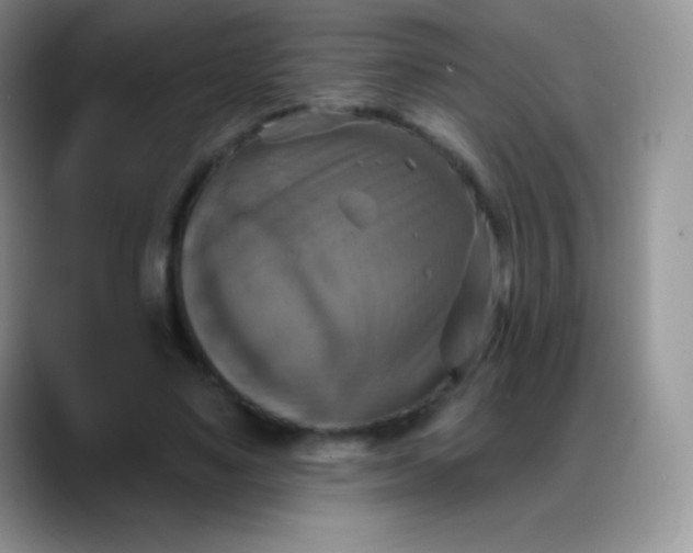 X0000088200491200705292035