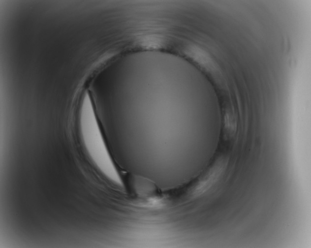 X0000088200492200705292035