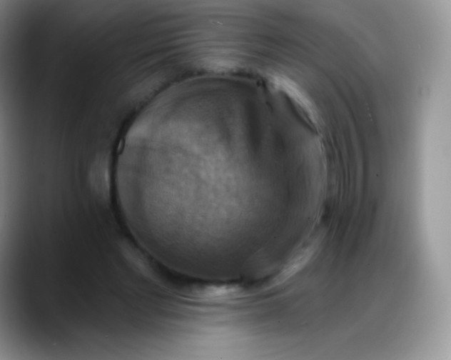 X0000088200493200705292035