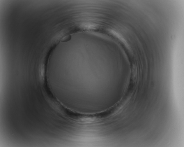 X0000088200494200705292035