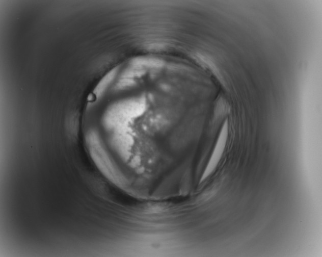 X0000088200495200705292035