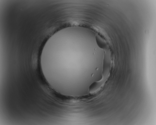 X0000088200496200705292035