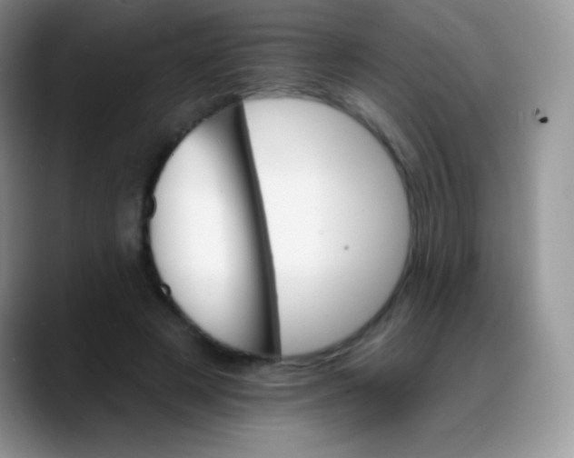 X0000088200497200705292035