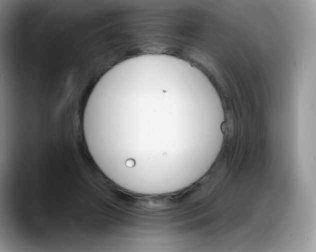 X0000088200498200705292035