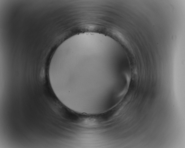 X0000088200500200705292035