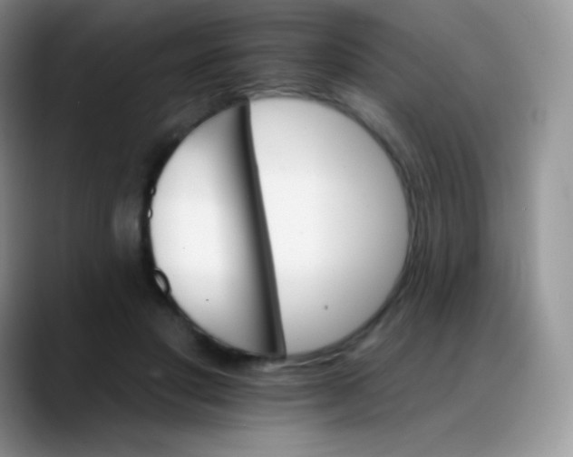 X0000088200501200705292035