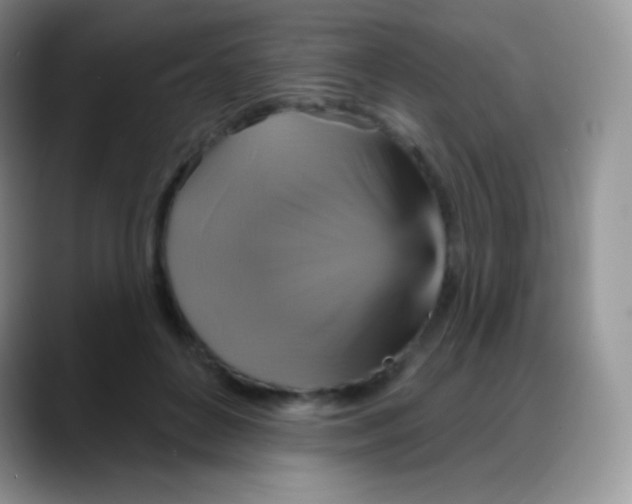 X0000088200504200705292035