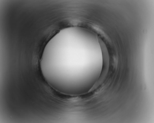 X0000088200505200705292035