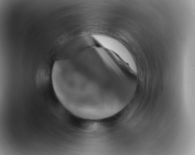 X0000088200507200705292035