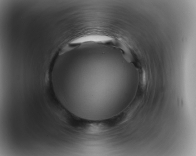 X0000088200508200705292035