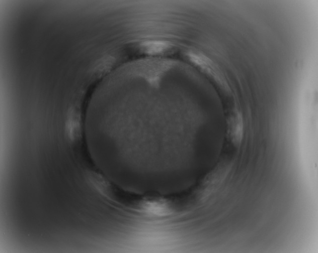 X0000088200510200705292035