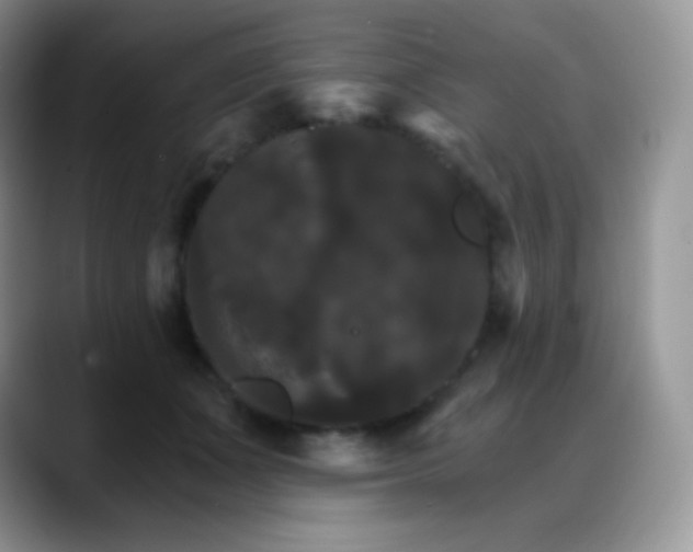 X0000088200511200705292035