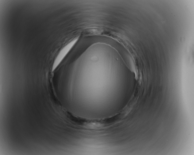 X0000088200512200705292035