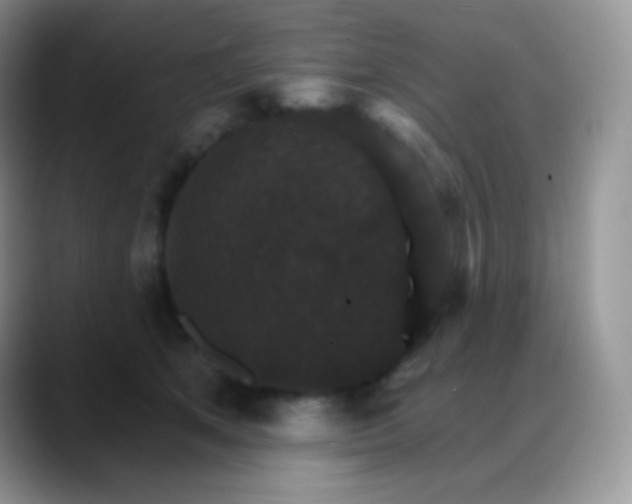 X0000088200513200705292035