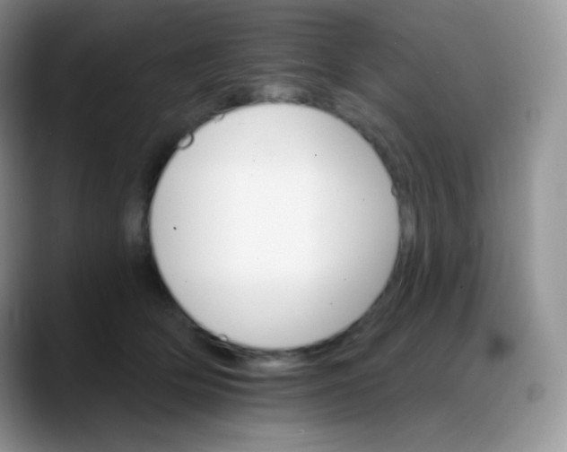 X0000088200514200705292035