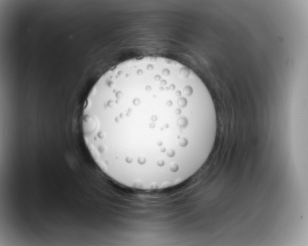 X0000088200515200705292035