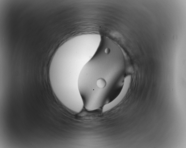 X0000088200516200705292035