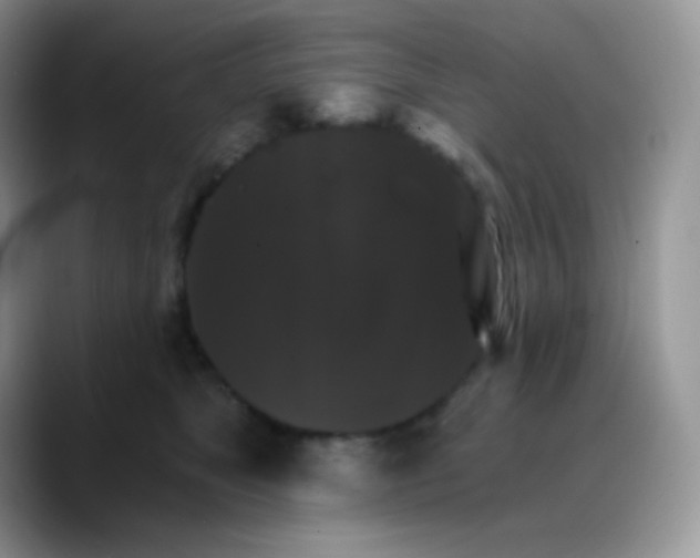 X0000088200517200705292035