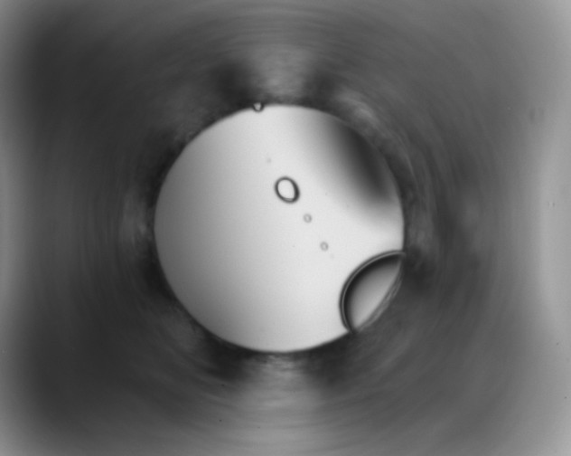 X0000088200518200705292035