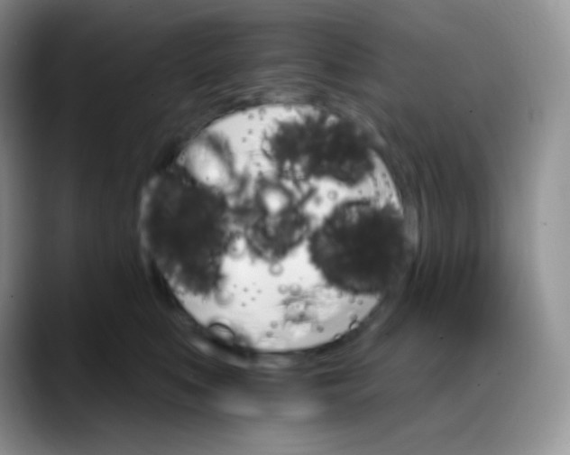 X0000088200519200705292035