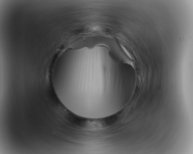 X0000088200520200705292035